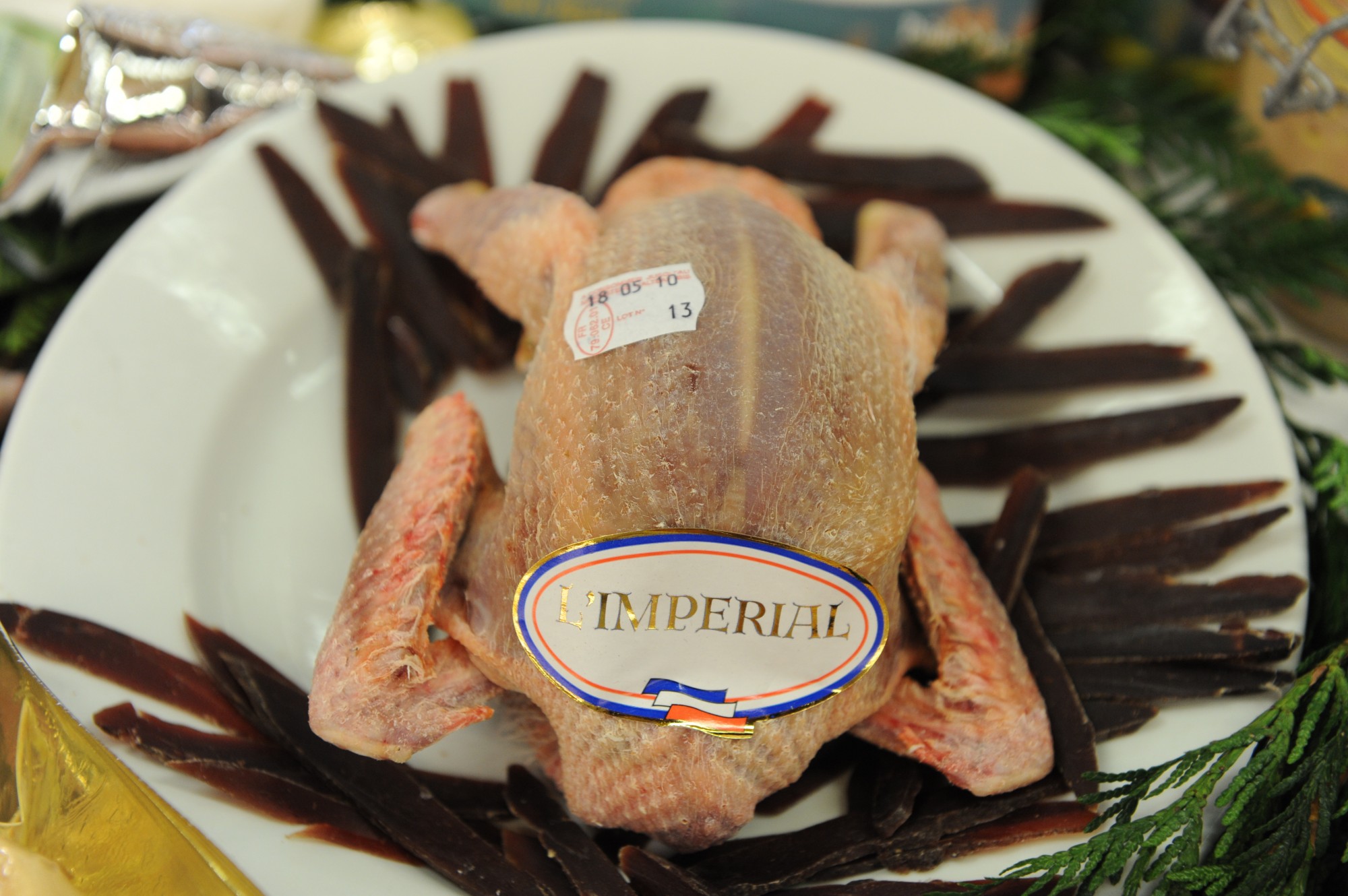 Commande pigeons en gros chez un grossiste Bordeaux Gironde