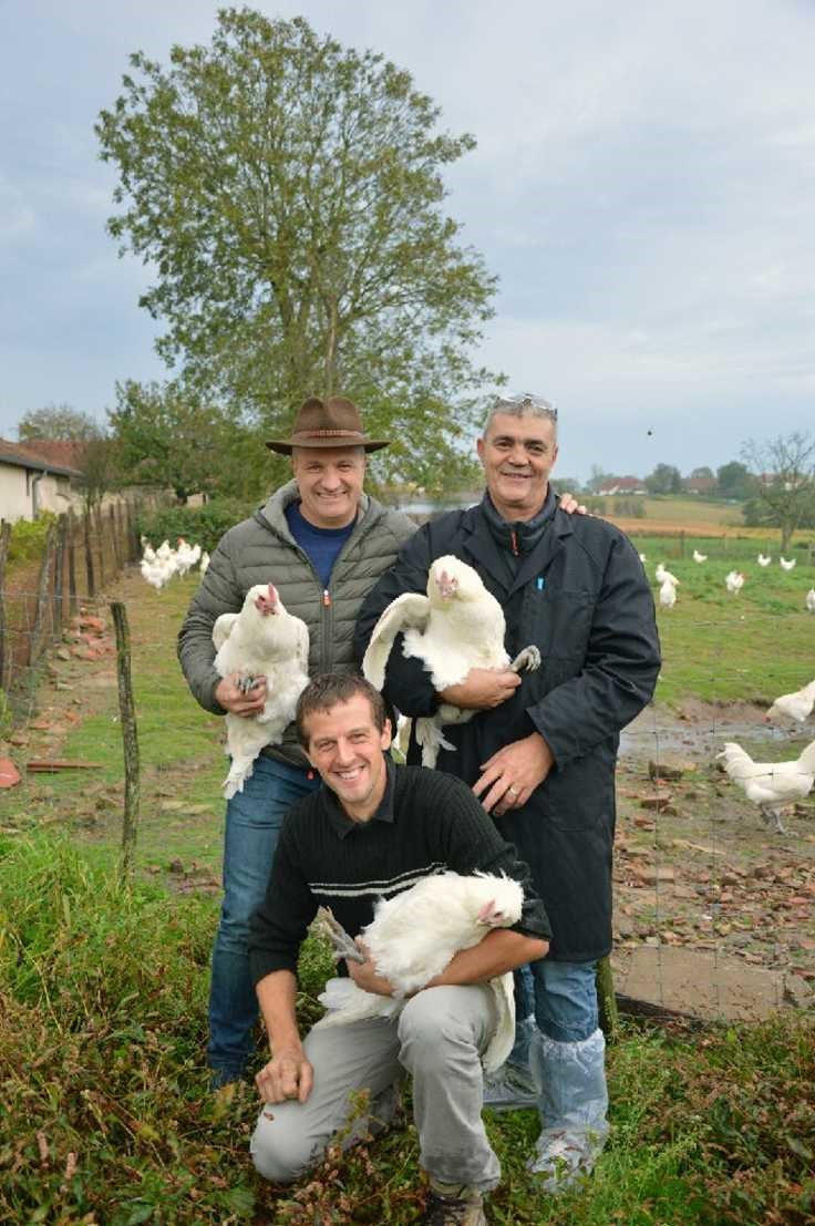 Devis pour acheter de la volaille en gros Rouen Normandie