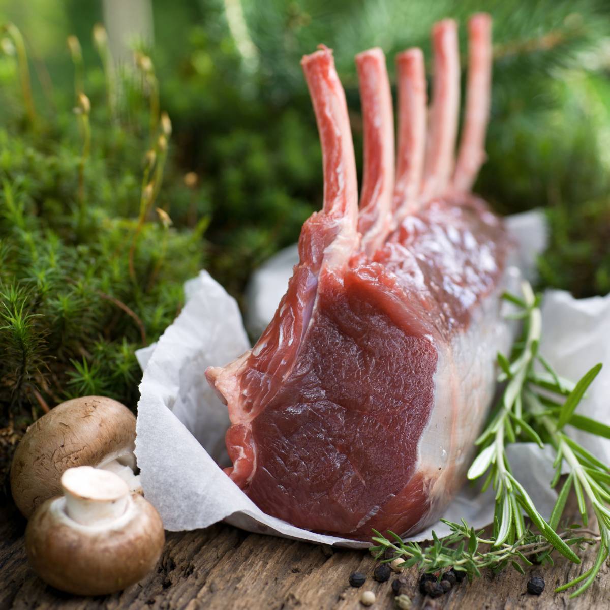 Trouver un grossiste en gibiers pour traiteurs et bouchers à Lyon et Moutiers