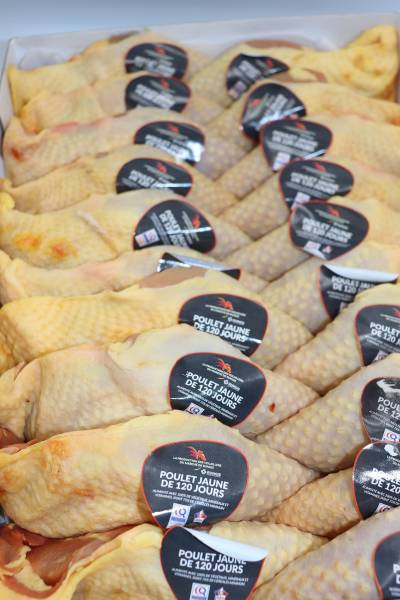 CUISSE ET FILET DE POULET 120 JOURS RUNGIS