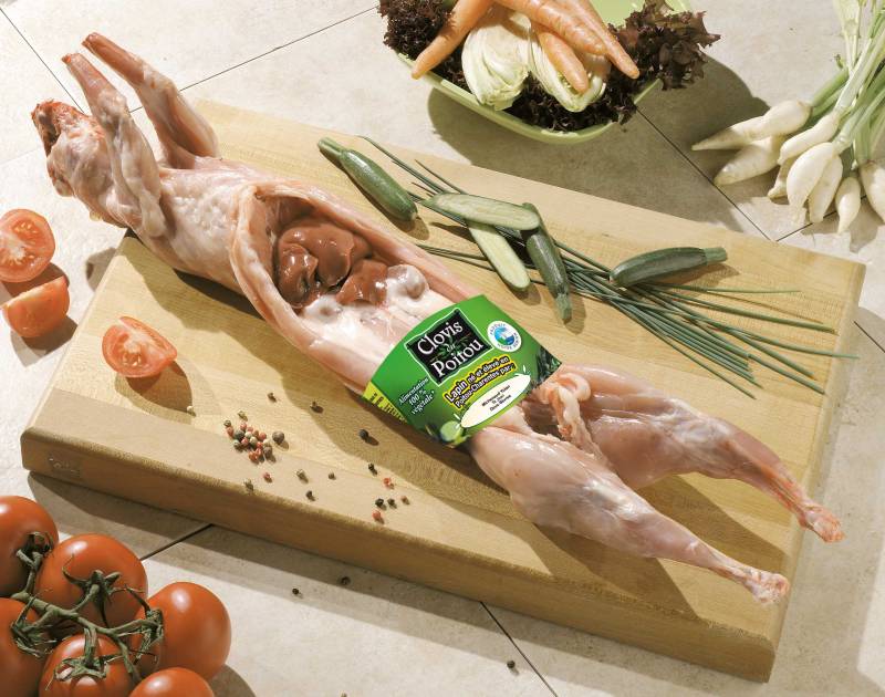 LAPIN ENTIER LOEUL ET PIRIOT - CLOVIS DU POITOU