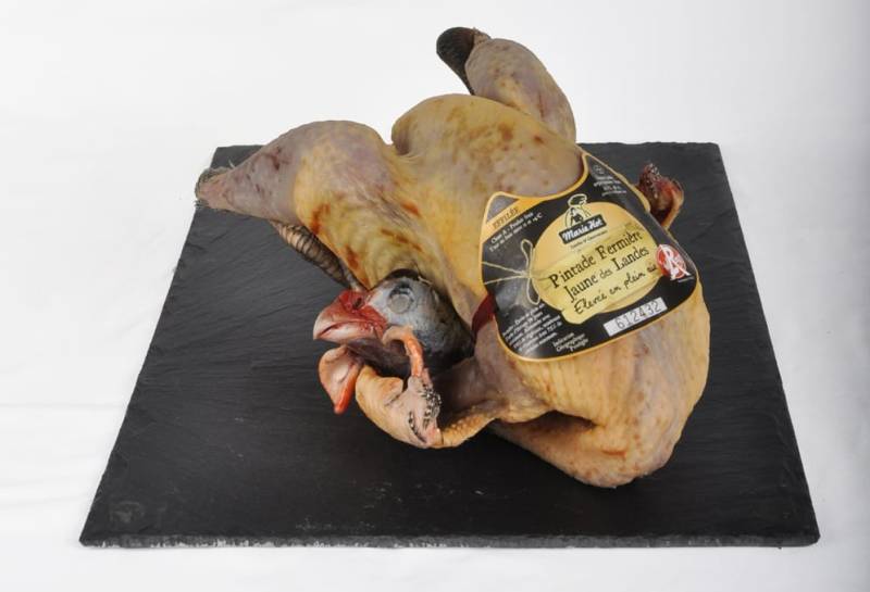 PINTADE FERMIÈRE  ÉFILLÉE LABEL ROUGE DES LANDES