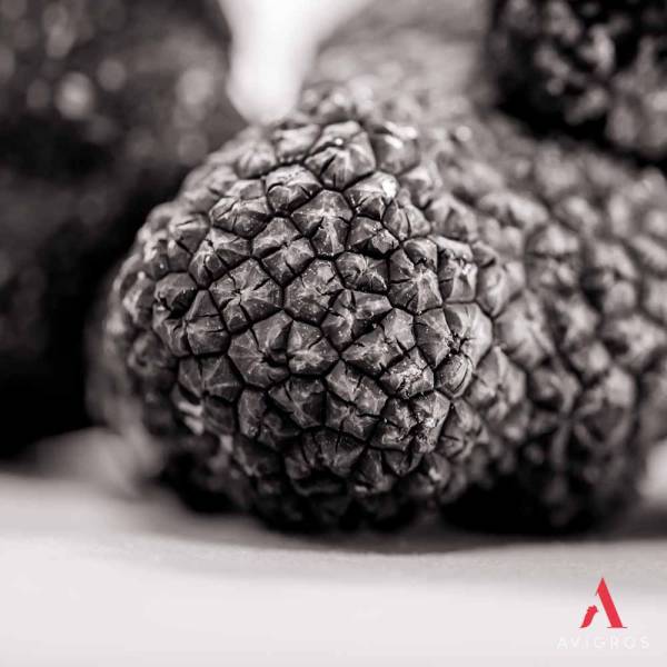 GROSSISTE DE TRUFFES SUR LE M.I.N DE RUNGIS POUR  BOUCHERIE