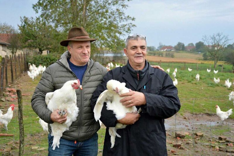 Gino CATENA chez ses producteurs