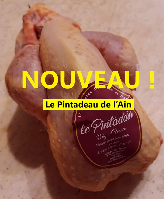 NOUVEAUTÉ ! LE PINTADEAU DE L'AIN