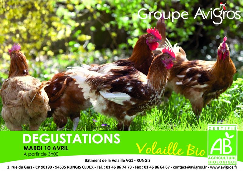 VOLAILLE BIO