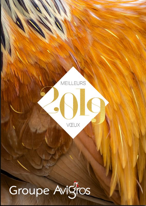 VŒUX 2019