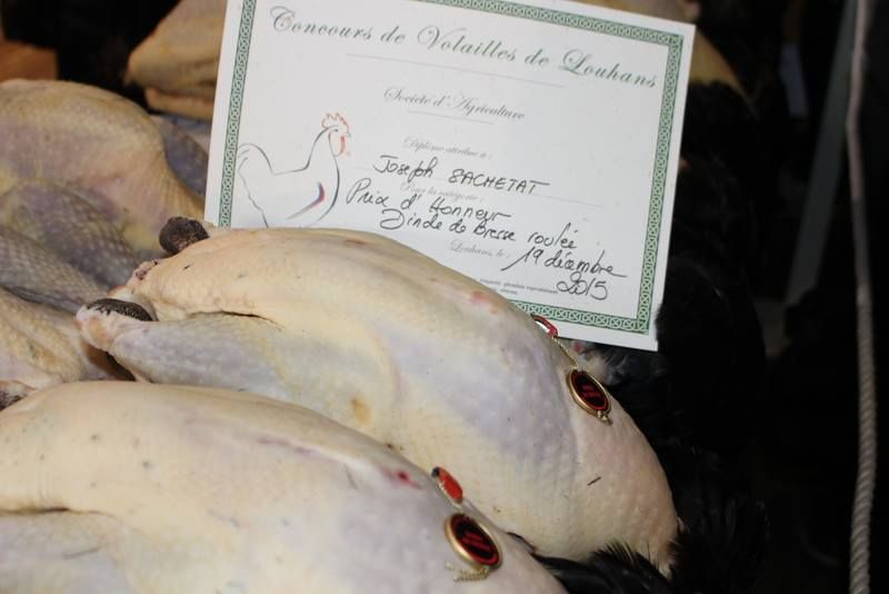 Glorieuses de Bresse Avigros jury à Louhans