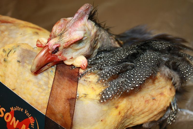 POULARDE DE PINTADE FERMIÈRE MAISON MICHEL