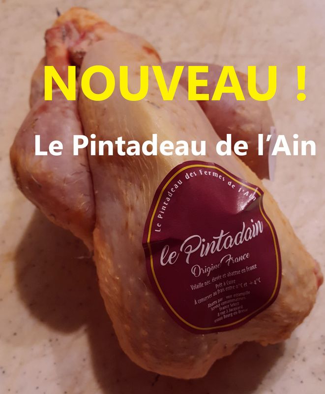 LE PINTADEAU DE L'AIN