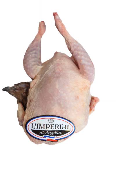 CAILLE AU SANG IMPÉRIAL