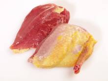 Nos prestations sur le secteur de Bordeaux Gironde