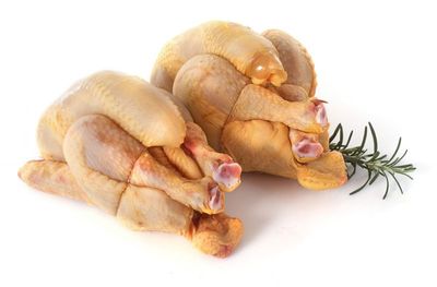 Nos prestations sur le secteur de Nantes Loire-Atlantique