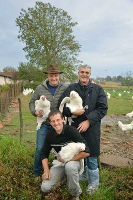 Notre zone d'activité pour ce service Devis pour acheter de la volaille en gros
