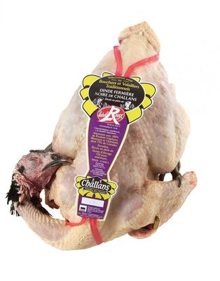 Nos prestations sur le secteur de Rouen Normandie